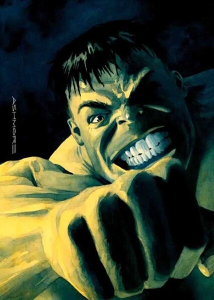 The Incredible Hulk (Bruce Banner) photo