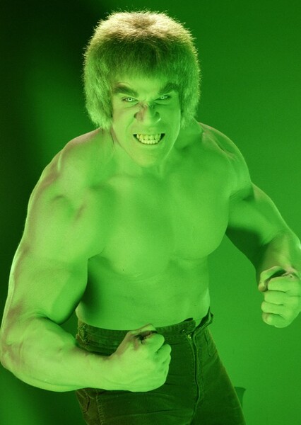 The Incredible Hulk (Bruce Banner) photo