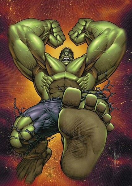 The Incredible Hulk (Bruce Banner) photo