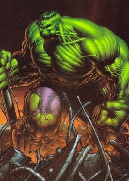 The Incredible Hulk (Bruce Banner) photo