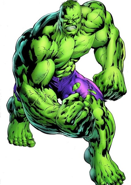 The Incredible Hulk (Bruce Banner) photo