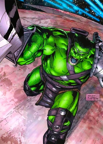 The Incredible Hulk (Bruce Banner) photo