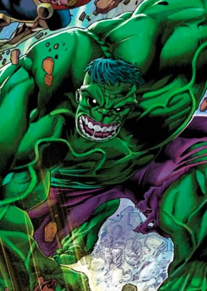 The Incredible Hulk (Bruce Banner) photo