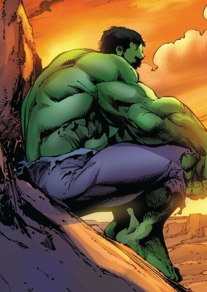 The Incredible Hulk (Bruce Banner) photo