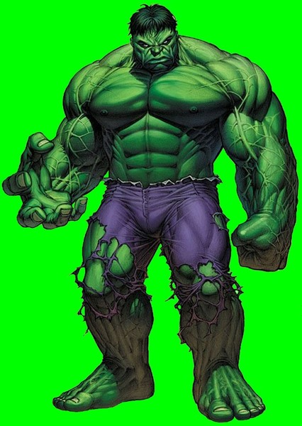 The Incredible Hulk (Bruce Banner) photo