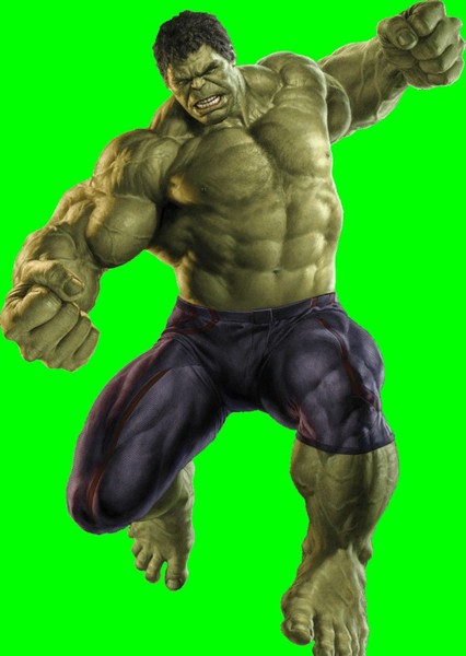 The Incredible Hulk (Bruce Banner) photo