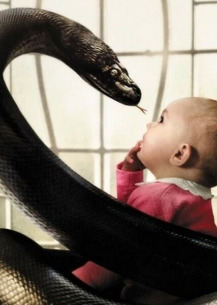 The Incredibly Deadly Viper ("Inky") photo