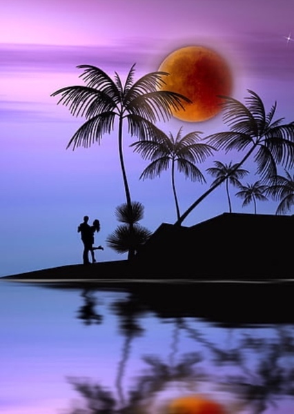 The Island photo
