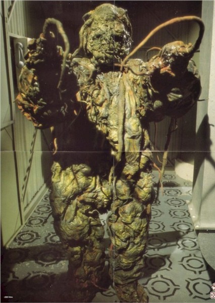 The Krynoids photo