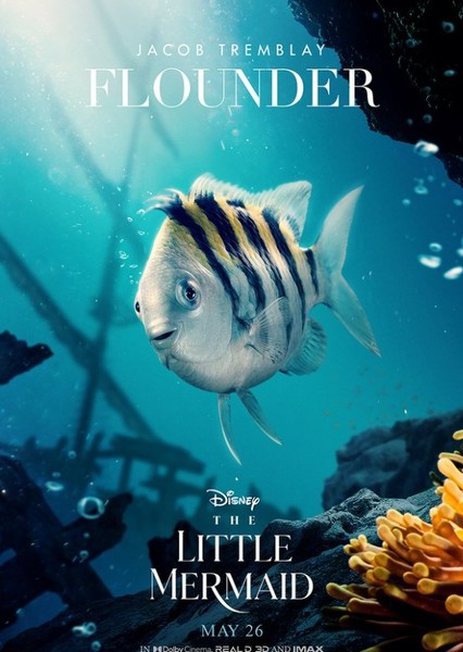The Little Mermaid (2023) photo
