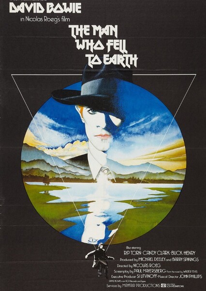 The Man Who Fell to Earth