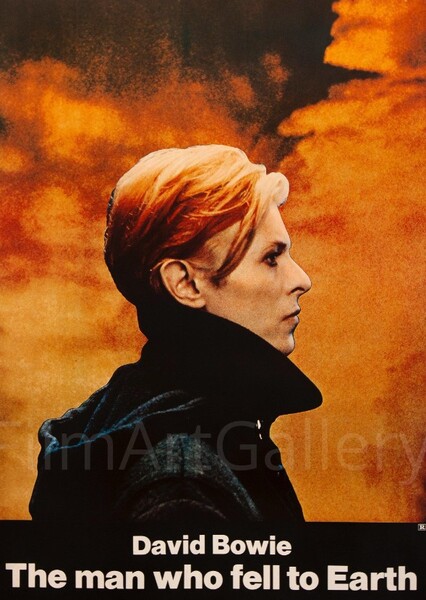 The Man Who Fell to Earth