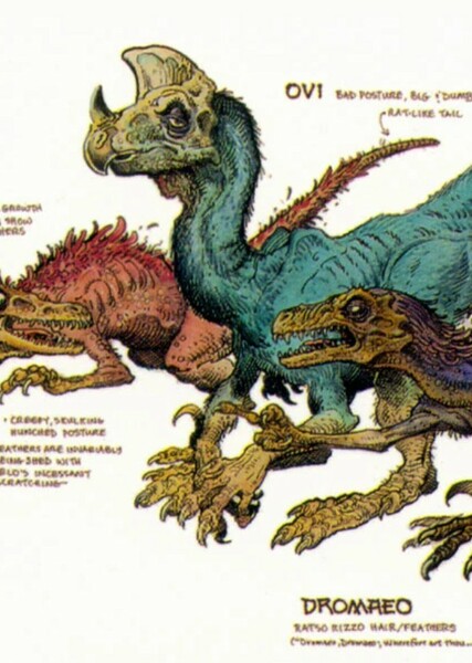 The Natural History Project photo