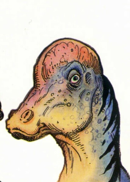 The Natural History Project photo
