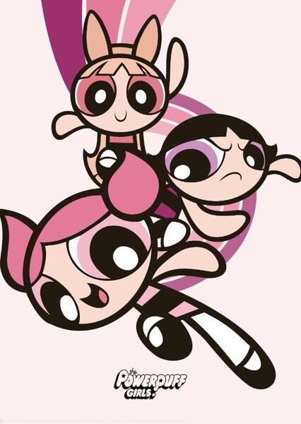 The Powerpuff Girls photo
