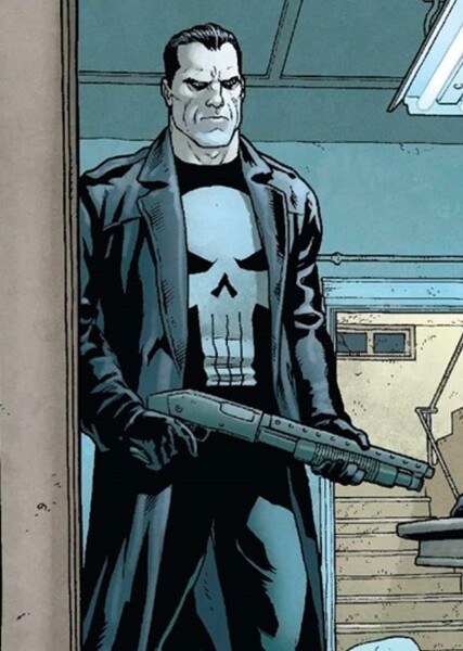 The Punisher (Frank Castle) photo