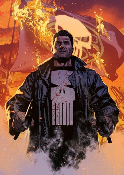 The Punisher (Frank Castle) photo
