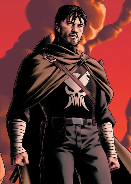 The Punisher (Frank Castle) photo