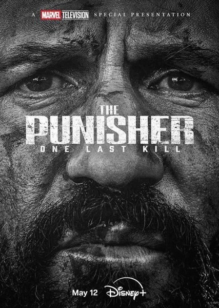The Punisher: One Last Kill (MCU Series) photo