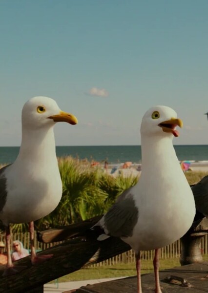 The Seagull Crew photo