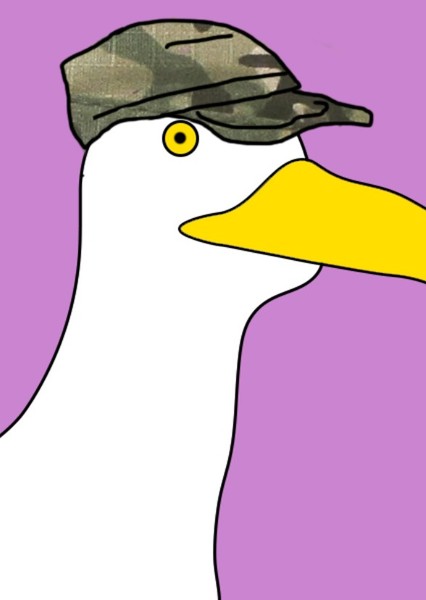 The Seagull Crew photo