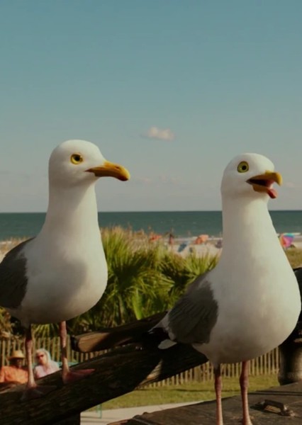 The Seagull Crew photo