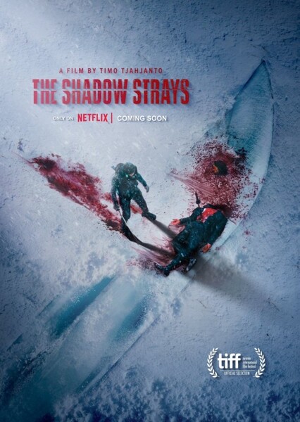 The Shadow Strays