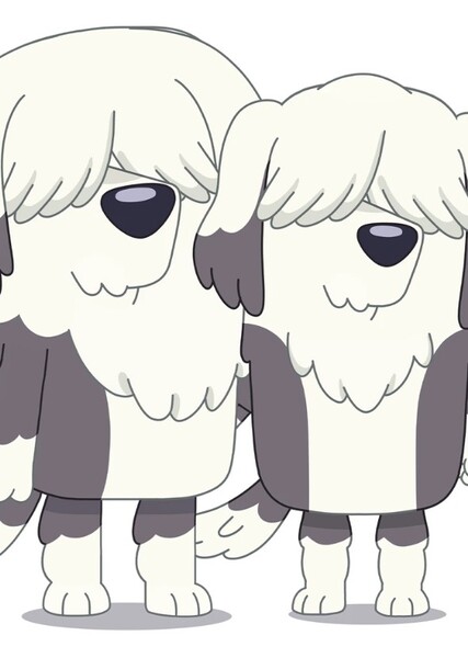 The Sheepdogs