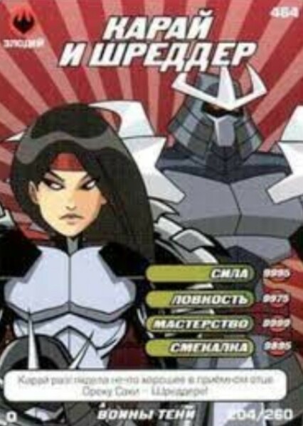 The Shredder (TMNT 2003) photo