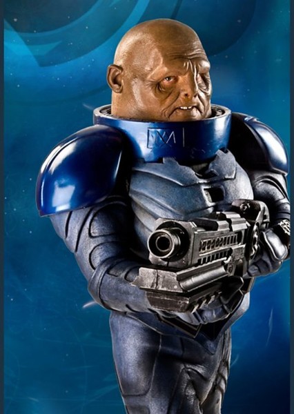 The Sontarans