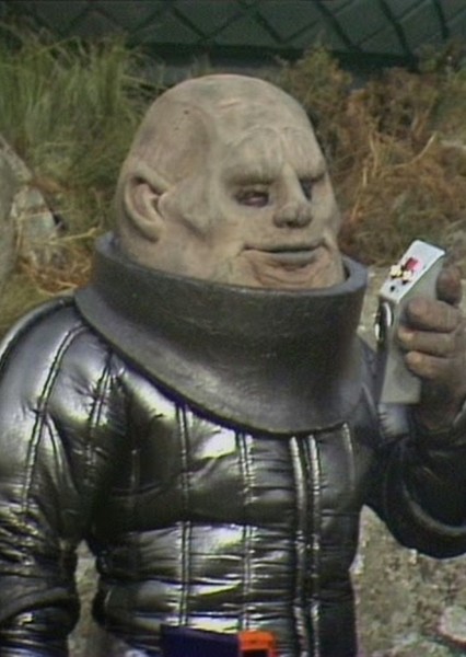 The Sontarans