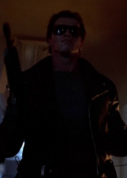 The Terminator photo