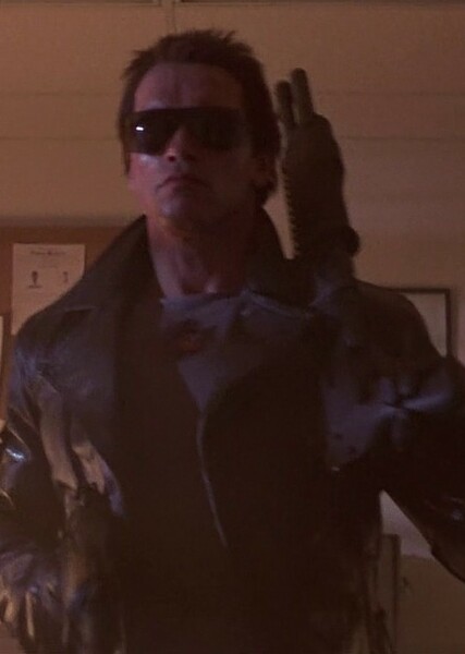 The Terminator photo