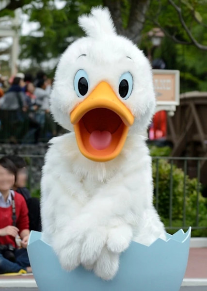 The Ugly Duckling photo