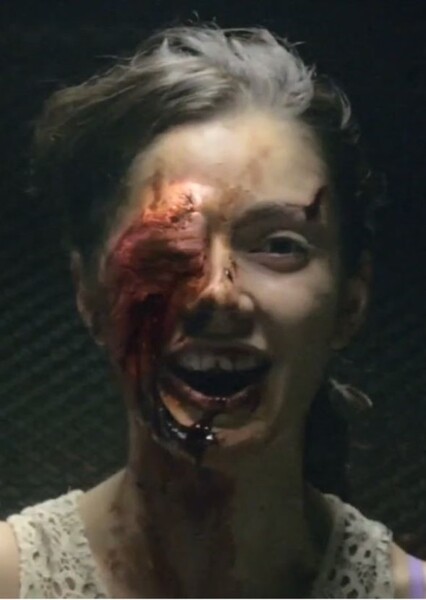 The V/H/S Entity