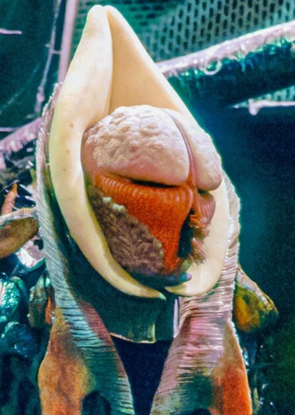 The Vervoids photo