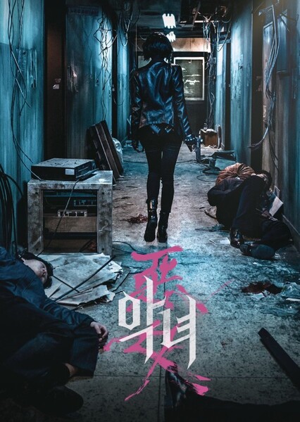 The Villainess photo