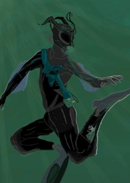 The Voord