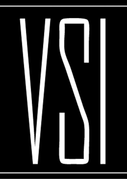 The VSI Group (Voice and Script International Ltd.) [Voice and Script International] photo