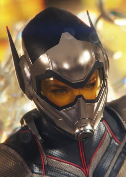 The Wasp photo