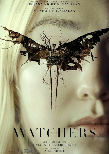 The Watchers
