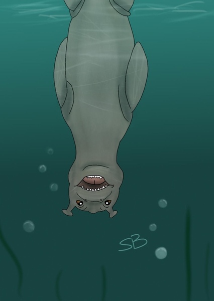 The Water Horse: Legend of the Deep photo