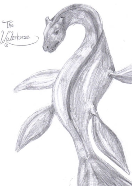 The Water Horse: Legend of the Deep photo