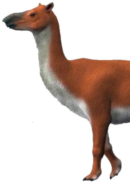 Theosodon