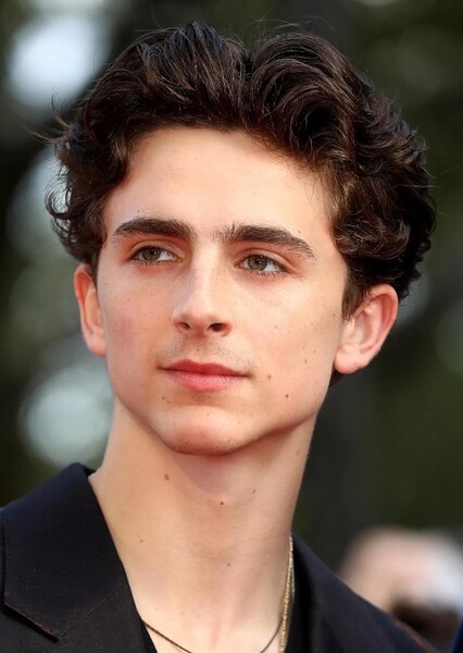 thimothée chalamet