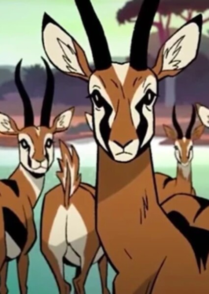 Thomson's Gazelle photo