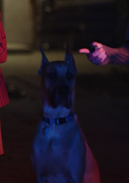 Thor Von Schultz