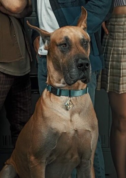 Thor Von Schultz photo