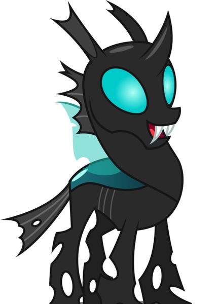 Thorax photo