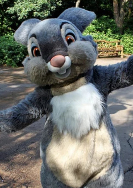 Thumper photo